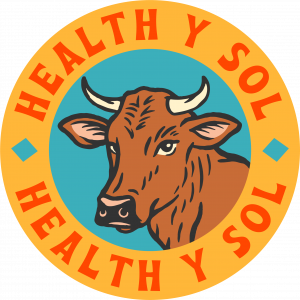 Health y Sol Logo