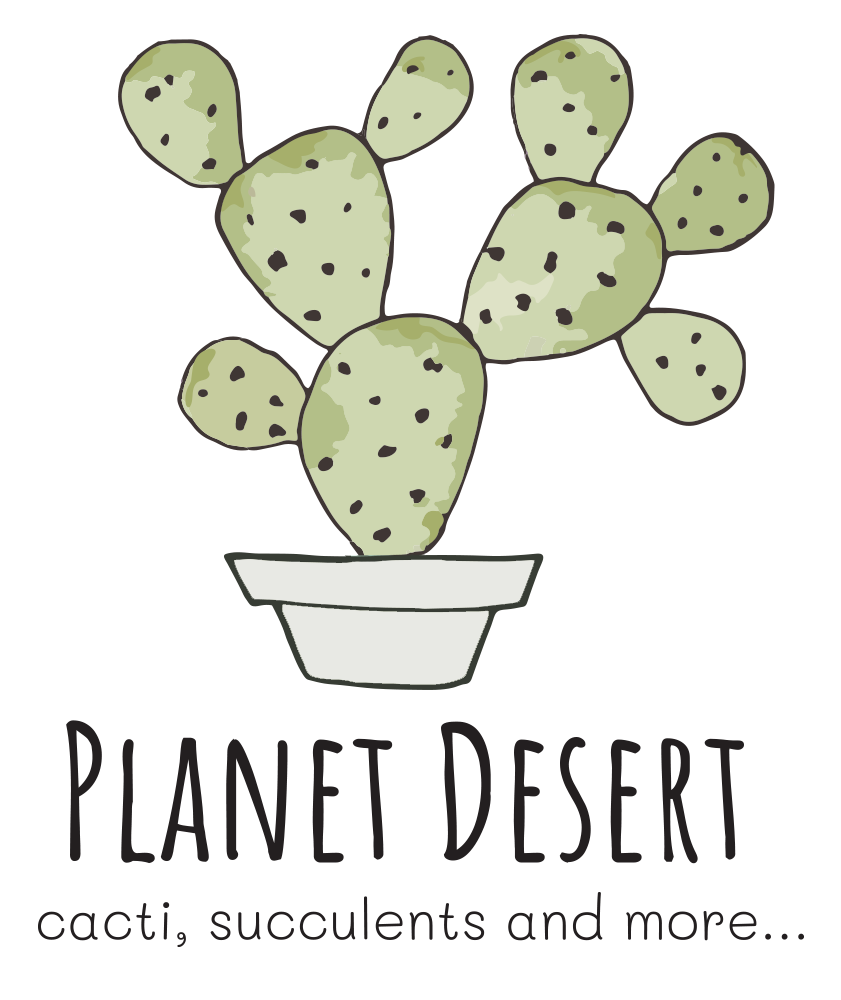 Planet Desert Logo